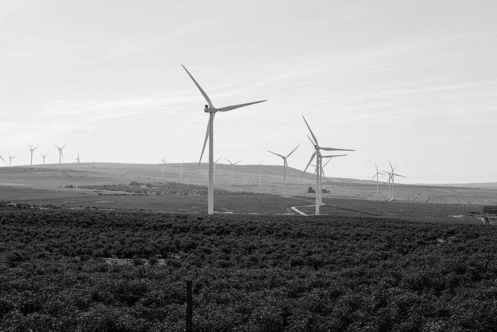 energy office South Africa